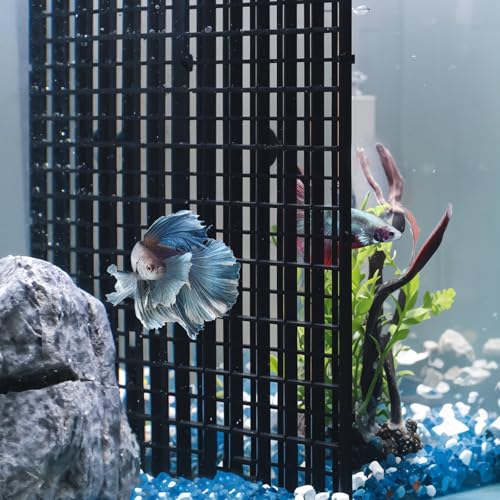 Pawfly 4 Stück Aquarium Trennwand Kunststoff Fisch Tank Teiler, Aquarium Gitter Teiler, Grid Fisch Tank Boden Isolierung Separator für Aquarium Fische und Pflanzen, Schwarz von Pawfly