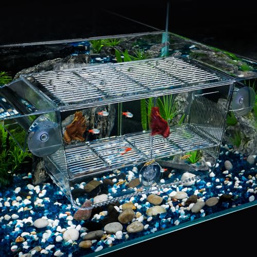 Pawfly Aquarium Fischbrutkasten Aquarium Brutkasten mit 6 Saugnäpfen Acryl Brutkasten für Babyfische Garnelen Betta Großer Eingewöhnungskasten für Aggressive Fische Guppy Platy von Pawfly