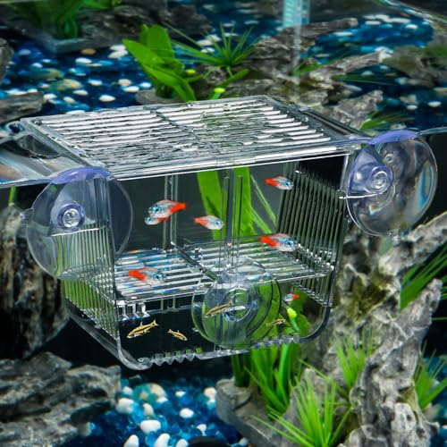 Pawfly Aquarium Fischbrutkasten Aquarium Brutkasten mit 6 Saugnäpfen Acryl Brutkasten für Babyfische Shrimp Betta Kleiner Eingewöhnungskasten für Aggressive Fische Guppy Platy von Pawfly