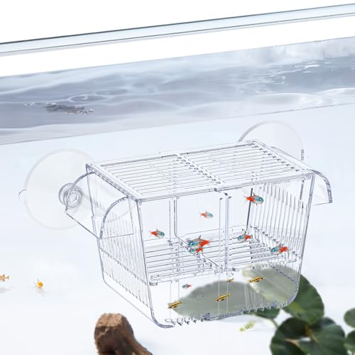 Pawfly Aquarium Fischbrutkasten Aquarium Brutkasten mit 6 Saugnäpfen Acryl Brutkasten für Babyfische Shrimp Betta Kleiner Eingewöhnungskasten für Aggressive Fische Guppy Platy von Pawfly