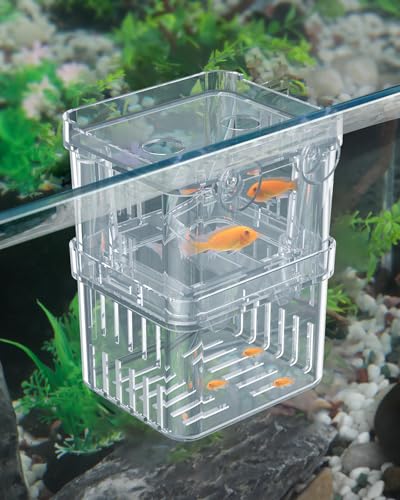 Pawfly Aquarium Fischzuchtbox Transparente Kunststoff-Zuchtbox für Aquarium Brutkasten Brutkasten Brutkasten für Baby Fische Garnele Betta Clownfisch Große Isolationsbox für Aggressive Fische Guppy von Pawfly