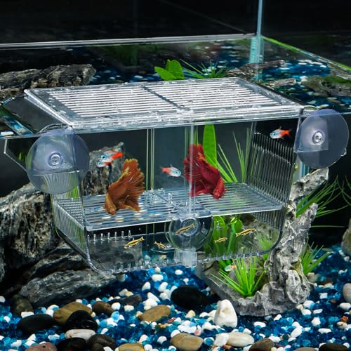 Pawfly Aufzuchtbecken Aquarium Ablaichkasten Fischbrutkasten Aquariumbrutkasten mit 6 Saugnäpfen Acrylbrutkasten für Babyfische Garnelen Betta Medium Absetzisolierbox für aggressive Fische Guppy Platy von Pawfly