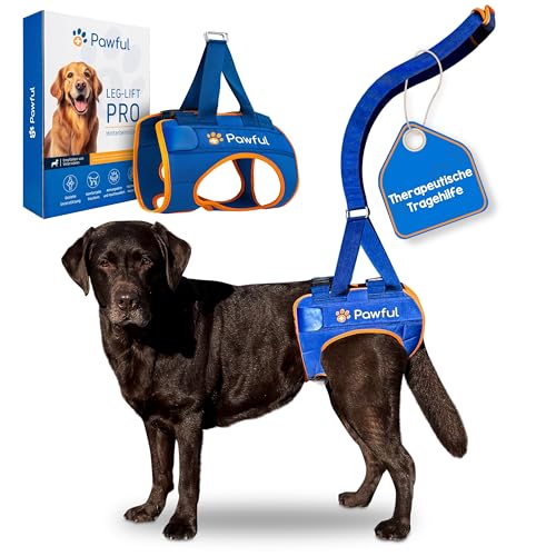 PAWFUL Leg-Lift Pro – Tragehilfe Hund – Größe XL – Gehhilfe für die Hinterbeine – Hundetrage mit idealer Passform durch Schnallen von Pawful