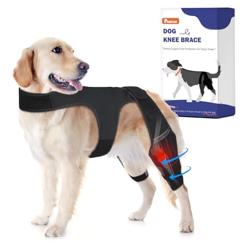 Hunde-Kniebandage für das Hinterbein, Hundebeinbandage für große bis kleine Hunde mit Hüftdysplasie, gerissenem ACL-Hinterbein, CCL, Bänderverletzungen oder Arthrose (XL) von Pawfun