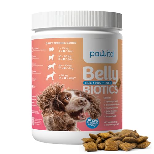 Pawital Belly Biotics: Präbiotischer, probiotischer und postbiotischer 3-in-1 Hundesnack – bei übermäßigem Pfotenlecken, Juckreiz und Verdauungsproblemen – 1 B KBE – 360 Leckerlis von Pawital