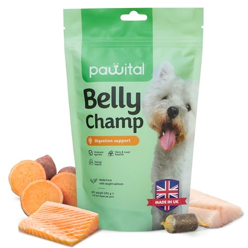 Pawital Belly Champ - Natürliche Hundeleckerlis mit Postbiotika & Wildlachs für Hunde bei Verdauung, Juckreiz, Kratzen, Pfotenlecken und Grasfressen, 90 Kausnacks von Pawital