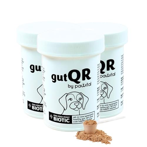 Pawital gutQR | Advanced Gut Health Supplement für Hunde | Klinisch erprobte Präbiotika, Probiotika, Postbiotika | Unterstützt Verdauung, Immunität & Hautgesundheit | Darmpulver (180 Messlöffel) von Pawital