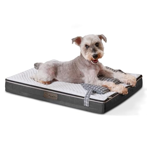 Pawlify Waschbare Hundebetten für große Hunde, M Hundebett mit abnehmbarem Bezug, orthopädisches Schaumstoff-Haustierbett, Hundematte, Matratzenkissen für große Hunde, Grau von Pawlify