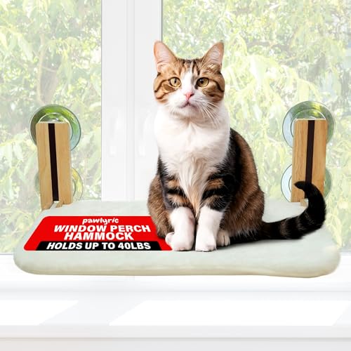 Hamacas para Gatos Katzen-Fenstersitz, faltbar, für den Innenbereich, Bettsitz für Katzen, hält bis zu 18 kg, robuste Möbelleiste für Glasfenster, 1 Stück, Größe M von Pawlyric