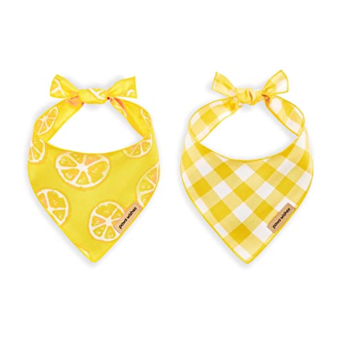 Paws Wishes Hundehalstuch, 2er-Pack, Zitronenscheiben und Gelb Plaid Set Zitronenfest, haustierfreundliches Design, haar- und wasserabweisend, Mädchen, Hund von Paws Wishes