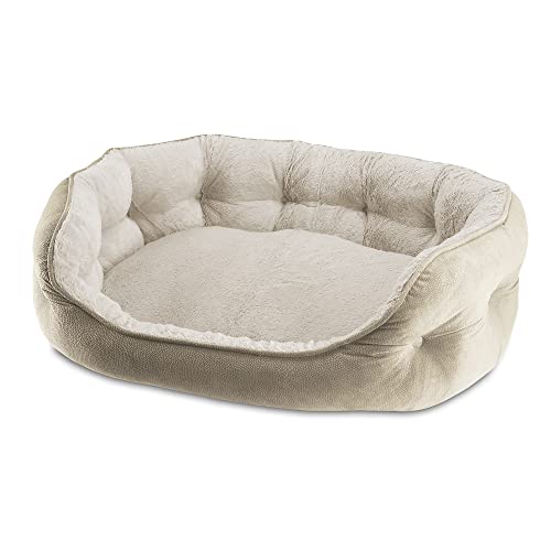 Paws & Claws Arlee Cozy Oval Round Cuddler Pet Dog Bed - Memory Foam - Chew Resistant - Assembled USA, Medium/Large, Sand von Paws and Claws