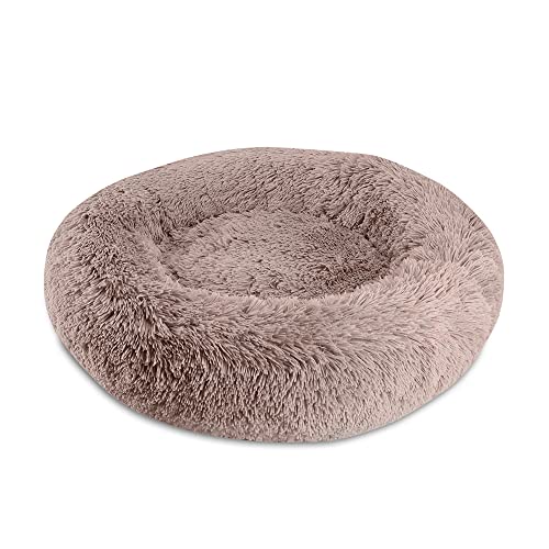 Paws & Claws Arlee Donut Rundes Haustier-Hundebett – Memory-Schaum – Beruhigend reduziert Angst – Shaggy veganes Fell – Assembled USA, Blush von Paws and Claws