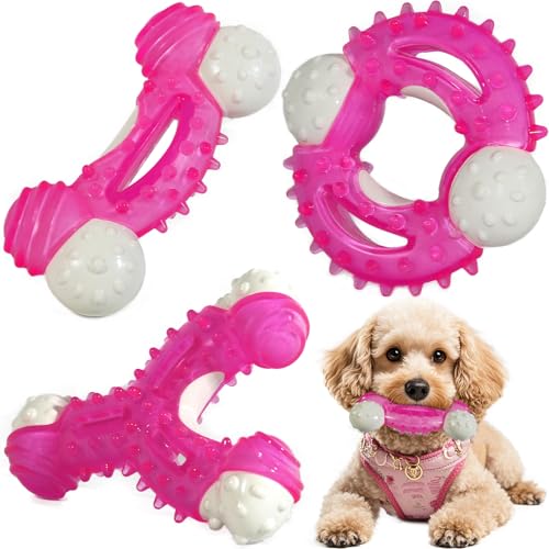 PawsAion Kauspielzeug für Welpen, 3 Stück, robustes Zahnspielzeug für leichte Kauer, kleine/mittelgroße Rassen, niedliches rosa gummiertes Nylon-Knochenspielzeug für zahnende Welpen von PawsAion