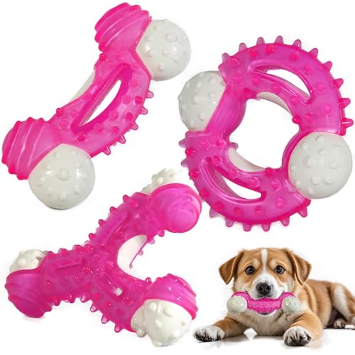 PawsAion Kauspielzeug für Hunde, 3er-Pack, Welpenspielzeug für kleine bis mittelgroße Hunde, mit Naturkautschuk beschichtet, robustes Nylon für zahnende Welpen, bietet die perfekte Balance zwischen von PawsAion