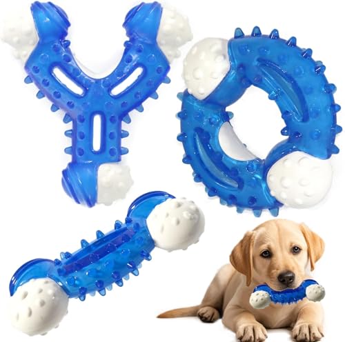 PawsAion Kauspielzeug für Hunde, 3er-Pack, Welpenspielzeug für kleine bis mittelgroße Hunde, mit Naturkautschuk beschichtet, robustes Nylon für zahnende Welpen, bietet die perfekte Balance zwischen von PawsAion