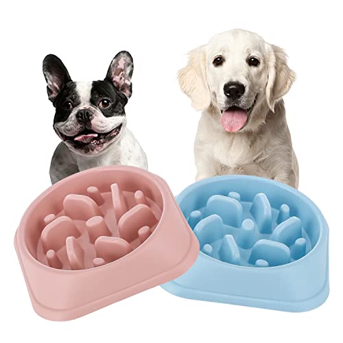 Slow Feeder Hundenapf, Labyrinth-Design, langsamer Futternapf für Hunde, klein, langsames Fressen, Labyrinth, Hundewelpen, langsamer Futternapf (rosa + blau) von Pawsayes