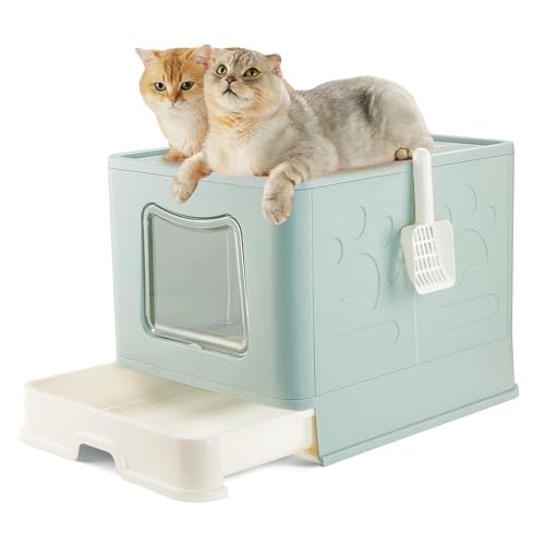 Pawsayes Katzentoilette, groß, geschlossener oberer Eingang, extra große Katzentoilette mit Deckel für mittelgroße und große Katzen, hohe Seiten, XL, große Jumbo-Katzentoilette für mehrere Katzen von Pawsayes