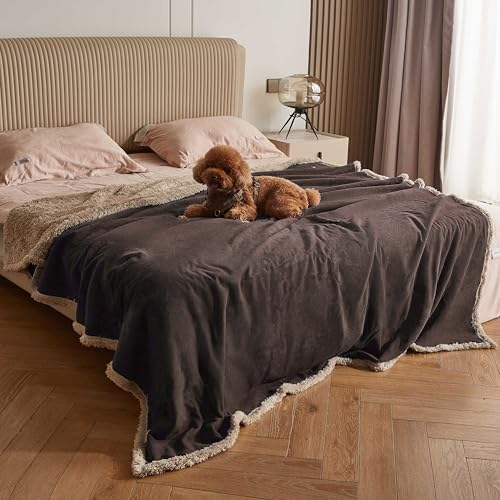 Pawsee Wasserdicht Hundedecke Katzendecken Waschbar, wasserdichte Decke für Große Hunde Sofaschutz Couch Überwurf, Flauschig Wasserdicht Liebesdecke für Schutzdecke Tagesdecke, L 203 x 152cm von Pawsee