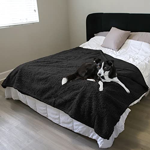 Pawsee Wasserdicht Hundedecke Katzendecken Waschbar, wasserdichte Decke für Große Hunde Sofaschutz Couch Überwurf, Flauschig Wasserdicht Liebesdecke für Schutzdecke Tagesdecke, L 203 x 152cm Schwarz Pawsee Wasserdicht Hundedecke Katzendecken Waschbar, wasserdichte Decke für Große Hunde Sofaschutz Couch Überwurf, Flauschig Wasserdicht Liebesdecke für Schutzdecke Tagesdecke, L 203 x 152cm Schwarz von Pawsee