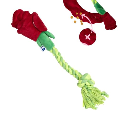 PAWTY Dog Toys - Interaktives Plüsch-Hundespielzeug der Veggie-Serie - Quietschendes Geschenk für Welpengeburtstag - Niedliches Spielzeug für kleine bis mittelgroße Hunde - Langlebiges Spielzeug für von Pawty Dog Toys