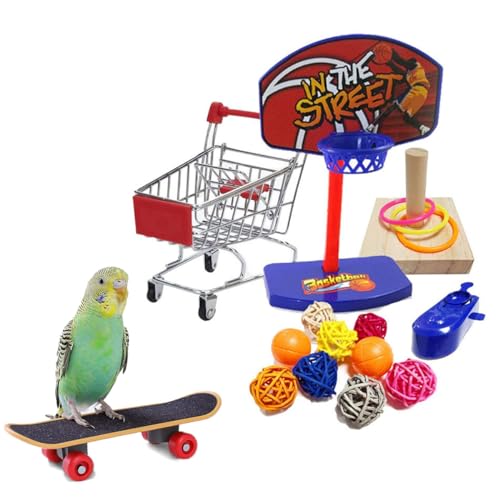 Paxikaka 4 Stück Papagei Puzzle Spielzeug Vogel Basketball Roller Hoop Spielzeug von Paxikaka