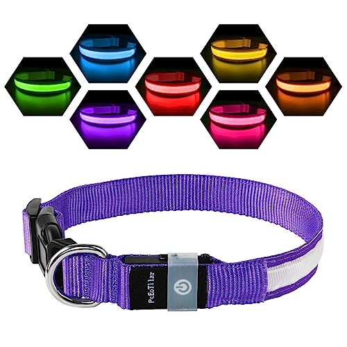 Leuchthalsband Hund Aufladbar USB-C, LED Halsband für Hunde Wasserdicht Hundehalsband Leuchtend 7 Farben Blinklicht Einstellbar Leichte Halsband Hunde für Kleine Mittlere Große Hunde, Lila M von PcEoTllar
