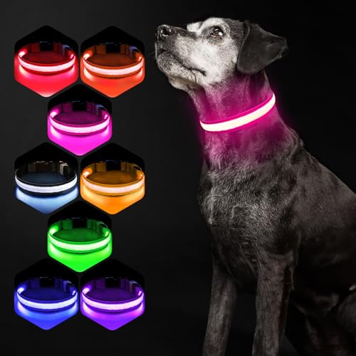 Hundehalsband Leuchtend USB Aufladbar - Leuchthalsband Hund 7 RGB Farbwechsel mit 8 Leuchtmodi, Dickes Verstellbares LED Hundehalsband Wasserdicht für Kleine Mittlere Große Hunde Leuchtendes Halsband von PcEoTllar