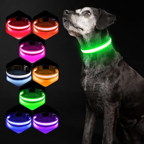 Hundehalsband Leuchtend USB Aufladbar - Leuchthalsband Hund 7 RGB Farbwechsel mit 8 Leuchtmodi, Dickes Verstellbares LED Hundehalsband Wasserdicht für Kleine Mittlere Große Hunde Leuchtendes Halsband von PcEoTllar