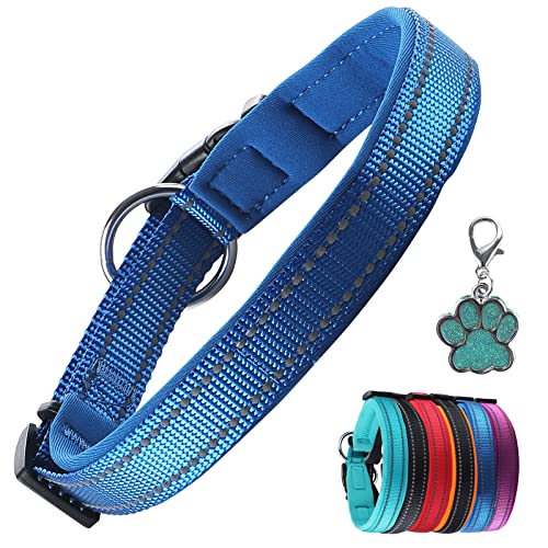 PcEoTllar Hundehalsband Verstellbare Weich Gepolstertes Hunde Halsband Neopren Nylon Reflektierend Halsband Atmungsaktives Einstellbar mit Erkennungsmarke for Kleine Mittel Große Hunde, Blau-XL von PcEoTllar