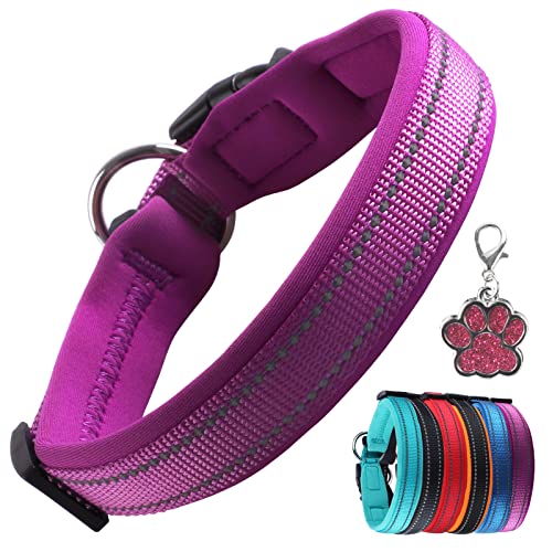 PcEoTllar Hundehalsband Verstellbare Weich Gepolstertes Hunde Halsband Neopren Nylon Reflektierend Halsband Atmungsaktives Einstellbar mit Erkennungsmarke for Kleine Mittel Große Hunde, Lila-XS von PcEoTllar