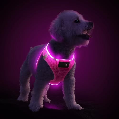 PcEoTllar Hundegeschirr Leuchtend, Leuchtgeschirr LED Aufladbar & Reflektierendes, Beleuchtetes Leuchtgeschirr für Welpe Klein Mittlere Hund, Atmungsaktiv Leucht Geschirr, Rosa-S von PcEoTllar