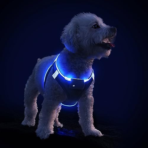 PcEoTllar Hundegeschirr Leuchtend USB Aufladbar Reflektierendes Leuchtgeschirr LED Leucht Brustgeschirr für Welpe Klein Mittelgroße Hund, Blinken Atmungsaktiv und Leichtgewicht, Schwarz Blau-S von PcEoTllar