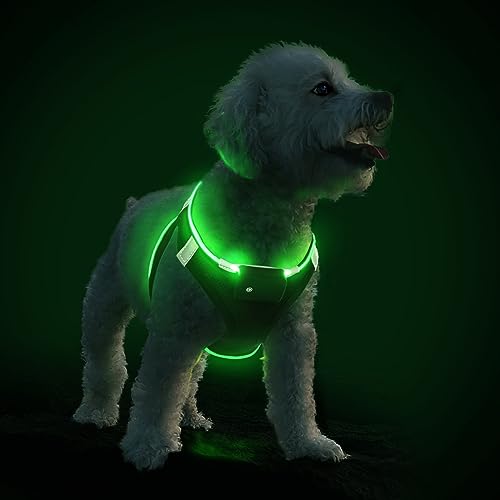 PcEoTllar Hundegeschirr Leuchtend USB Aufladbar Reflektierendes Leuchtgeschirr LED Leucht Brustgeschirr für Welpe Klein Mittelgroße Hund, Blinken Atmungsaktiv und Leichtgewicht, Schwarz Grün-L von PcEoTllar