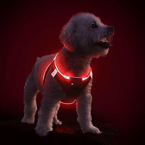 PcEoTllar Hundegeschirr Leuchtend USB Aufladbar Reflektierendes Leuchtgeschirr LED Leucht Brustgeschirr für Welpe Klein Mittelgroße Hund, Blinken Atmungsaktiv und Leichtgewicht, Schwarz Rot-S von PcEoTllar