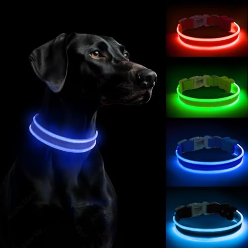 PcEoTllar Hundehalsband Leuchtend, Leuchthalsband Hund Aufladbar LED Halsband für Kleine Mittlere Große Hunde mit 3 Blinkmodi Sicherheit Wasserdichtes Einstellbare, Blau-L von PcEoTllar