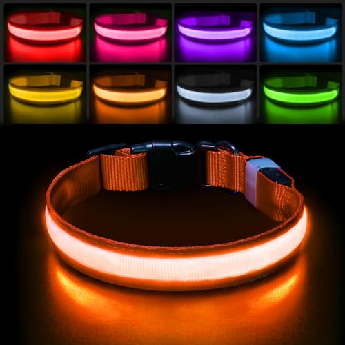 PcEoTllar Leuchthalsband Hund, Hundehalsband Leuchtend Aufladbar mit 7 Farbwechsel - 8 Leuchtmodi, LED Hundehalsband Wasserdicht für Kleine Mittlere Große Hunde Leuchtendes Halsband, Orange-L von PcEoTllar