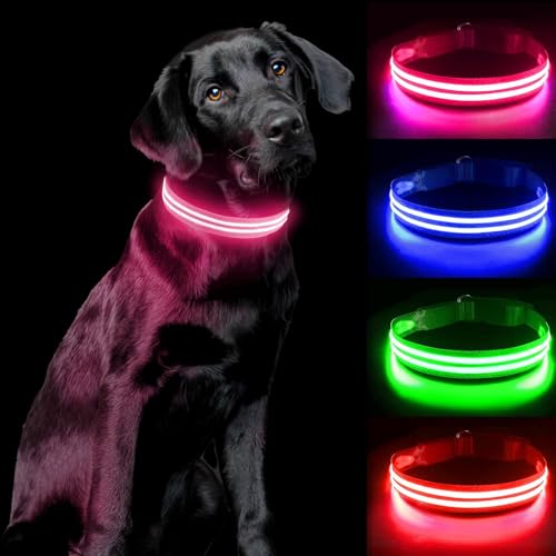 PcEoTllar Leuchthalsband Hund Aufladbar, LED Hundehalsband Leuchtend mit 3 Leuchtmodi, Leuchtendes Hundehalsband Verstellbares Wasserdicht für Kleine Mittlere Große Hunde, Rosa-M von PcEoTllar