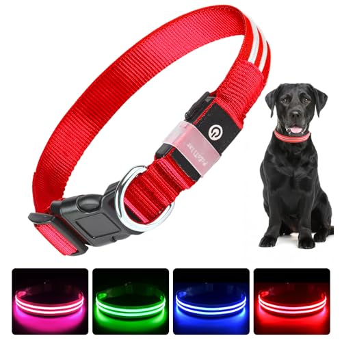 PcEoTllar Leuchthalsband Hund USB Aufladbar - LED Halsband für Hunde Hundehalsband Wasserdicht Leuchtend Einstellbare Größe, 3 Modi, Leuchthalsband für Nachtsicherheit Kleine und mittlere Große Hunde von PcEoTllar