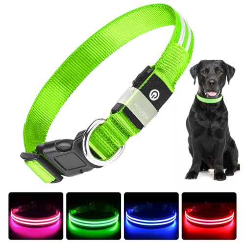 PcEoTllar Leuchthalsband Hund USB Aufladbar - LED Halsband für Hunde Hundehalsband Wasserdicht Leuchtend Einstellbare Größe, 3 Modi, Leuchthalsband für Nachtsicherheit Kleine und mittlere Große Hunde von PcEoTllar