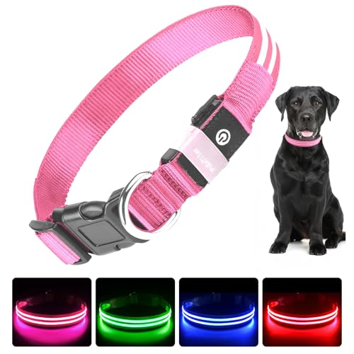 PcEoTllar Leuchthalsband Hund USB Aufladbar - LED Halsband für Hunde Hundehalsband Wasserdicht Leuchtend Einstellbare Größe, 3 Modi, Leuchthalsband für Nachtsicherheit Kleine und mittlere Große Hunde von PcEoTllar