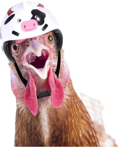 Kreativer Hühnerhelm, elegante Hühnermütze, verstellbarer Gummiband, lustiges Haustier-Spitzenhut, Zubehör, modischer Hut für Hahn, Ente, Papagei, Geflügel, stilvolle Show Kostüm, Bekleidung und Kreativer Hühnerhelm, elegante Hühnermütze, verstellbarer Gummiband, lustiges Haustier-Spitzenhut, Zubehör, modischer Hut für Hahn, Ente, Papagei, Geflügel, stilvolle Show Kostüm, Bekleidung und von Pchnfei