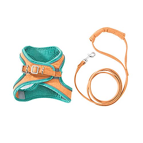 Pcivzxam Trainingsleinen für kleine Katzen, mit Geschirr und Halsband, verstellbare Leine, Set (Grün, M) von Pcivzxam