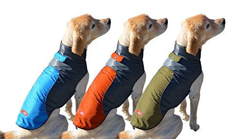 Peak Pooch Kaltes Wetter Jacke, Leicht, Windabweisend, Wasserdicht Rip Stop Nylon, Warmer Regen Hundemantel W / Leine Öffnen (Orange, Groß) von Peak Pooch