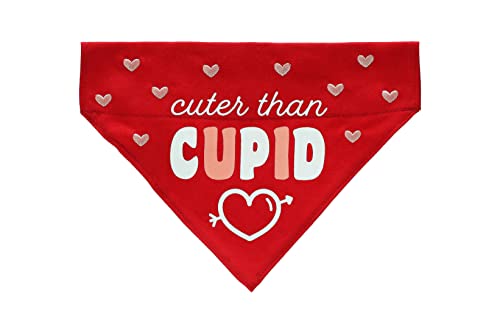 Pearhead Cuter Than Amor Haustier Bandana Valentinstag Slide-on Hund Bekleidung Haustier Zubehör S/M von Pearhead