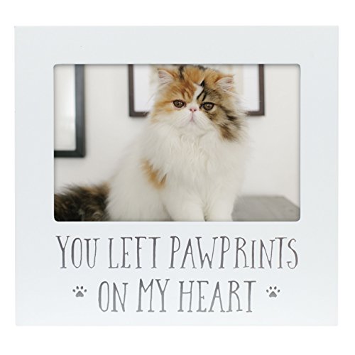 Pearhead You Left Pawprints on My Heart Pet Andenken-Bilderrahmen Hund oder Katze Fotorahmen für Haustierbesitzer, Haustier-Gedenkrahmen, 10 x 15 cm, Beileidsgeschenk, Weiß von Pearhead