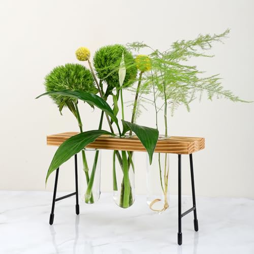 Pechaut Pflanzen-Anzuchtstation, ideal für Pflanzenstecklinge und Blumenstiele, perfekte Dekoration für Zuhause und Büro, tolles Geschenk für Pflanzenliebhaber von Pechaut