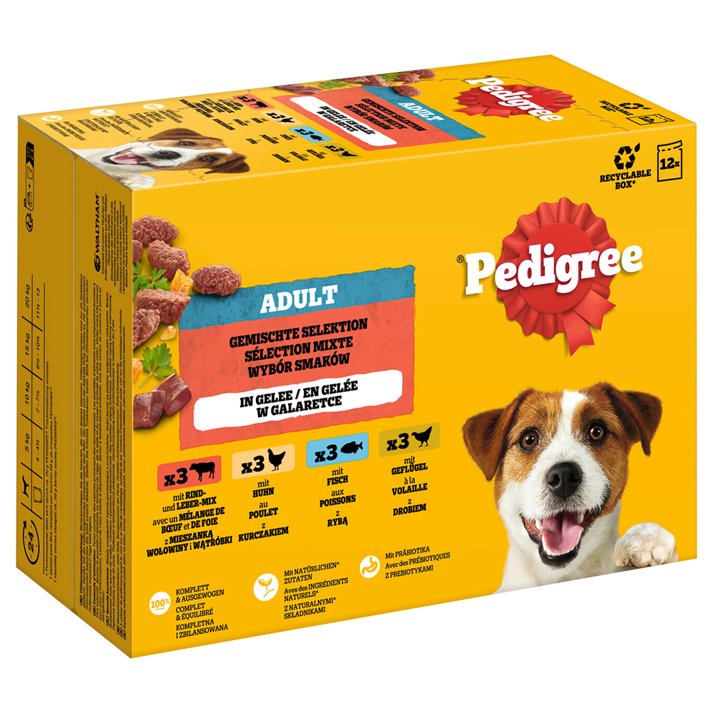 Pedigree Adult Frischebeutel Multipack - Gemischte Selektion in Gelee (4 Varietäten) 12 x 100 g von Pedigree