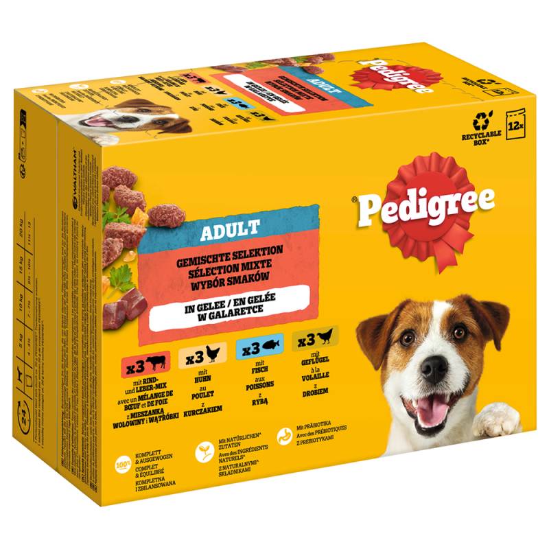 Pedigree Adult Frischebeutel Multipack - Sparpaket: Gemischte Selektion in Gelee (4 Varietäten) 24 x 100 g von Pedigree