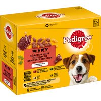 Pedigree Frischebeutel in Gelee - 24 x 100 g (4 Sorten gemischt) von Pedigree