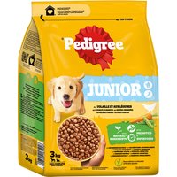 Pedigree Junior Geflügel & Gemüse - 3 x 3 kg von Pedigree